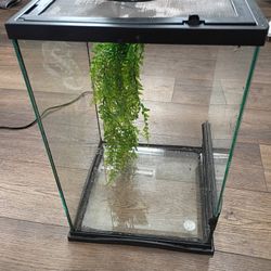 Reptile Cage 