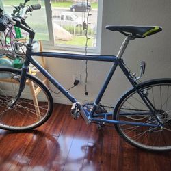 Vintage Trek Bike