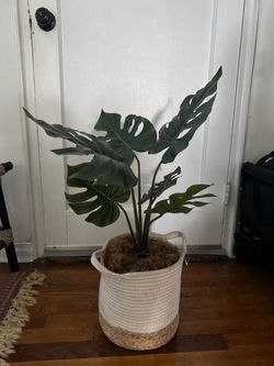 Artificial Monstera Plant with Woven Basket