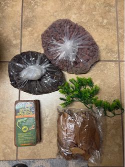 Bioactive terrarium kit