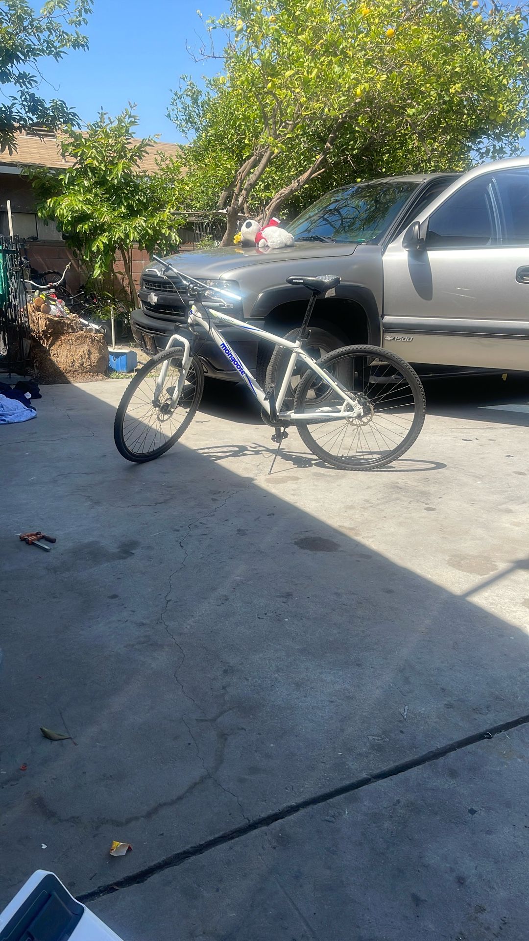 Mongoose bike