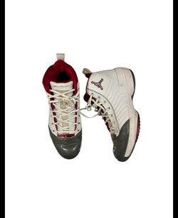 Air Jordan 19 SE