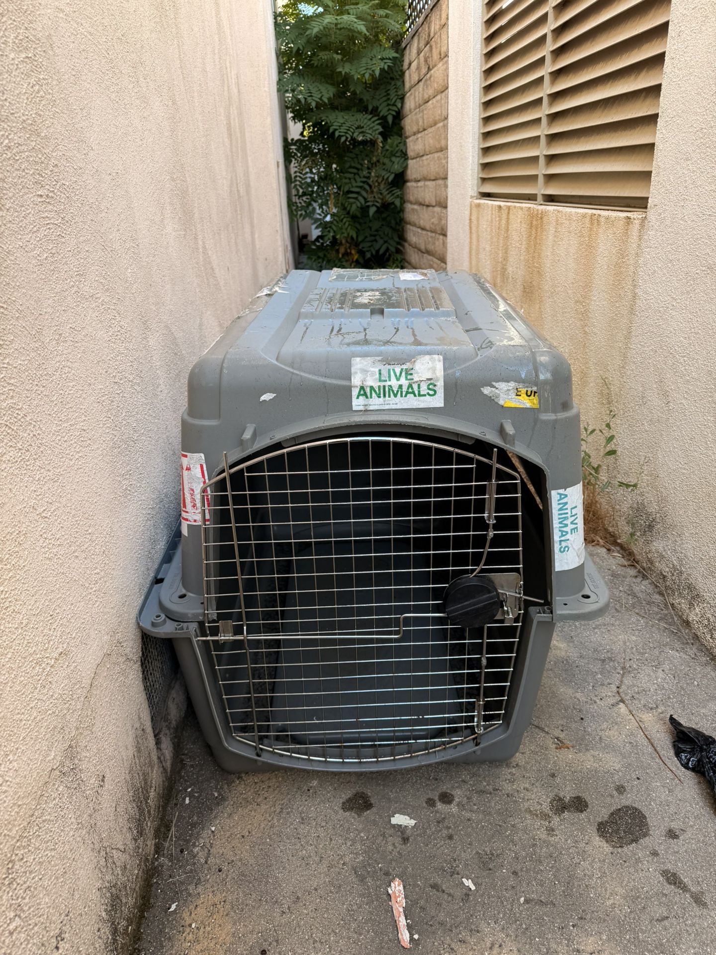 Travel Crate For Dogs L