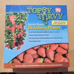 Topsy Turvy Upside Down Strawberry Plante