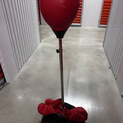 Reflex Punching Bag With Gloves -Adjustable Height 