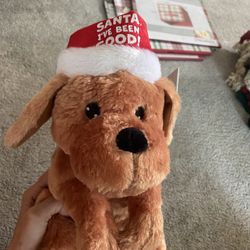 Singing Dog