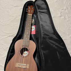 Amahi Mahogany Series Concert