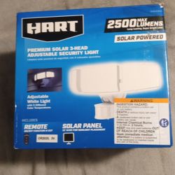 Security Light