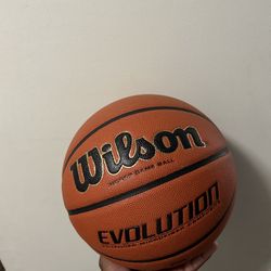 Wilson Evolution Ball 