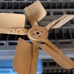 1969 Ford Mustang Fan