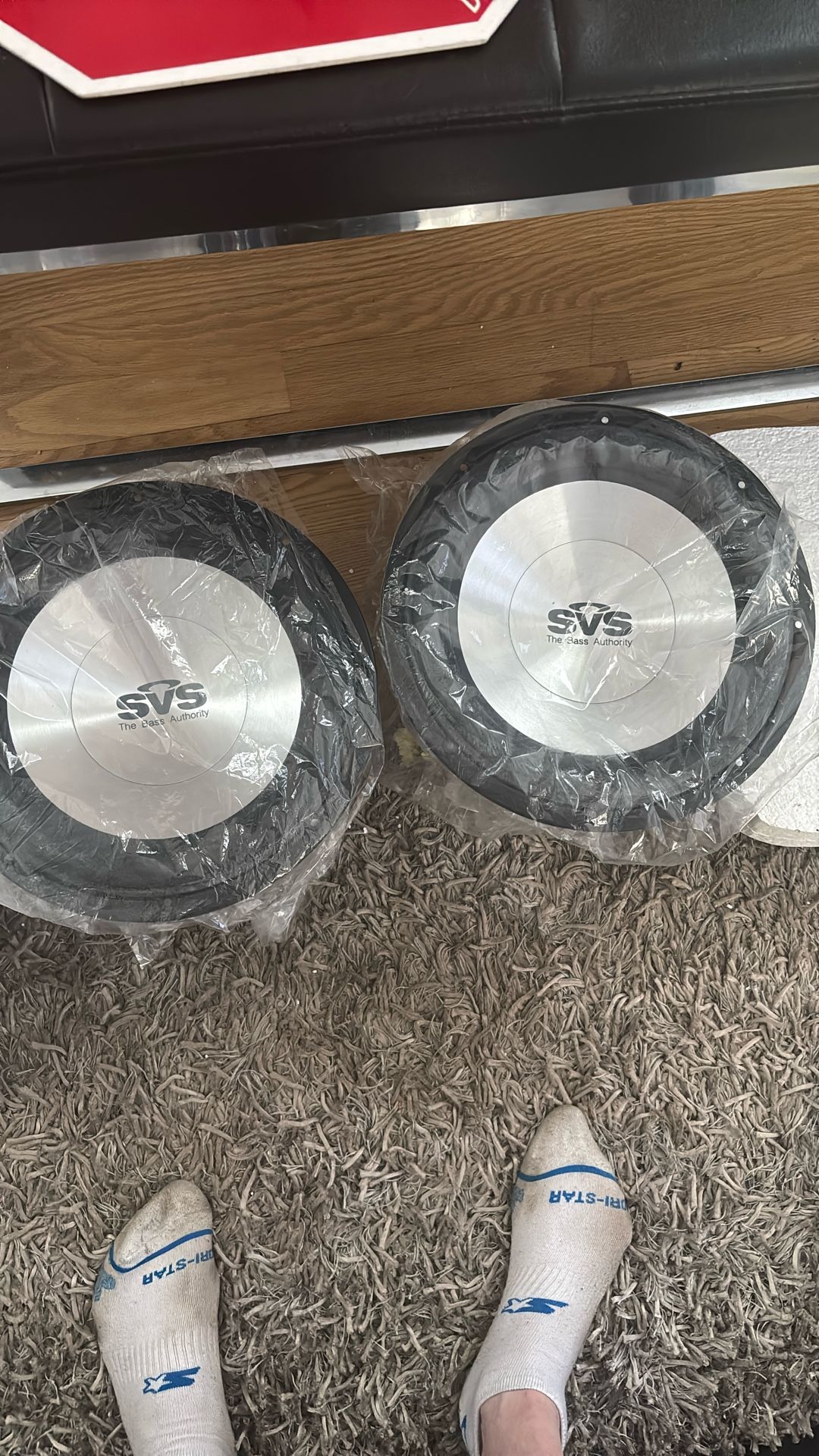 SVS The Bass Authority 13” Speakers