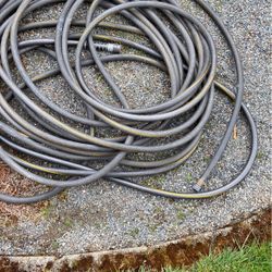 Garden Hose