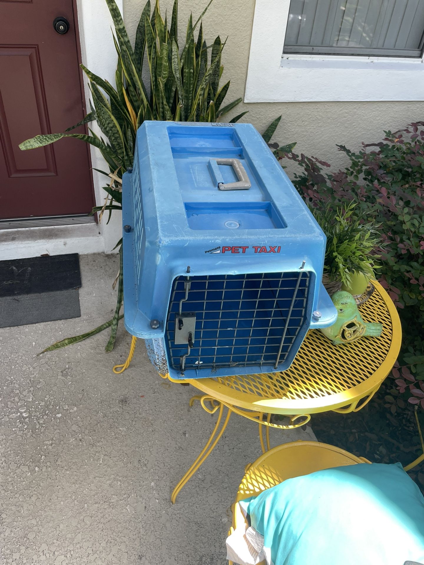 Pet Taxi