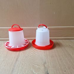 New Chicks Feeder and Waterer