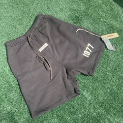 1977 Essentials Shorts
