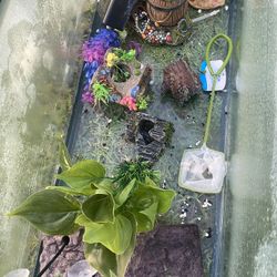My Turtle ESCAPED ! selling his stuff