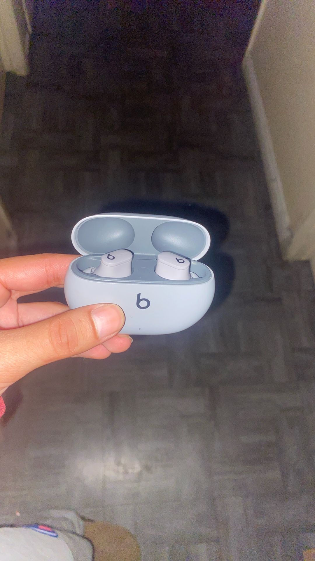 Beats Ear Buds