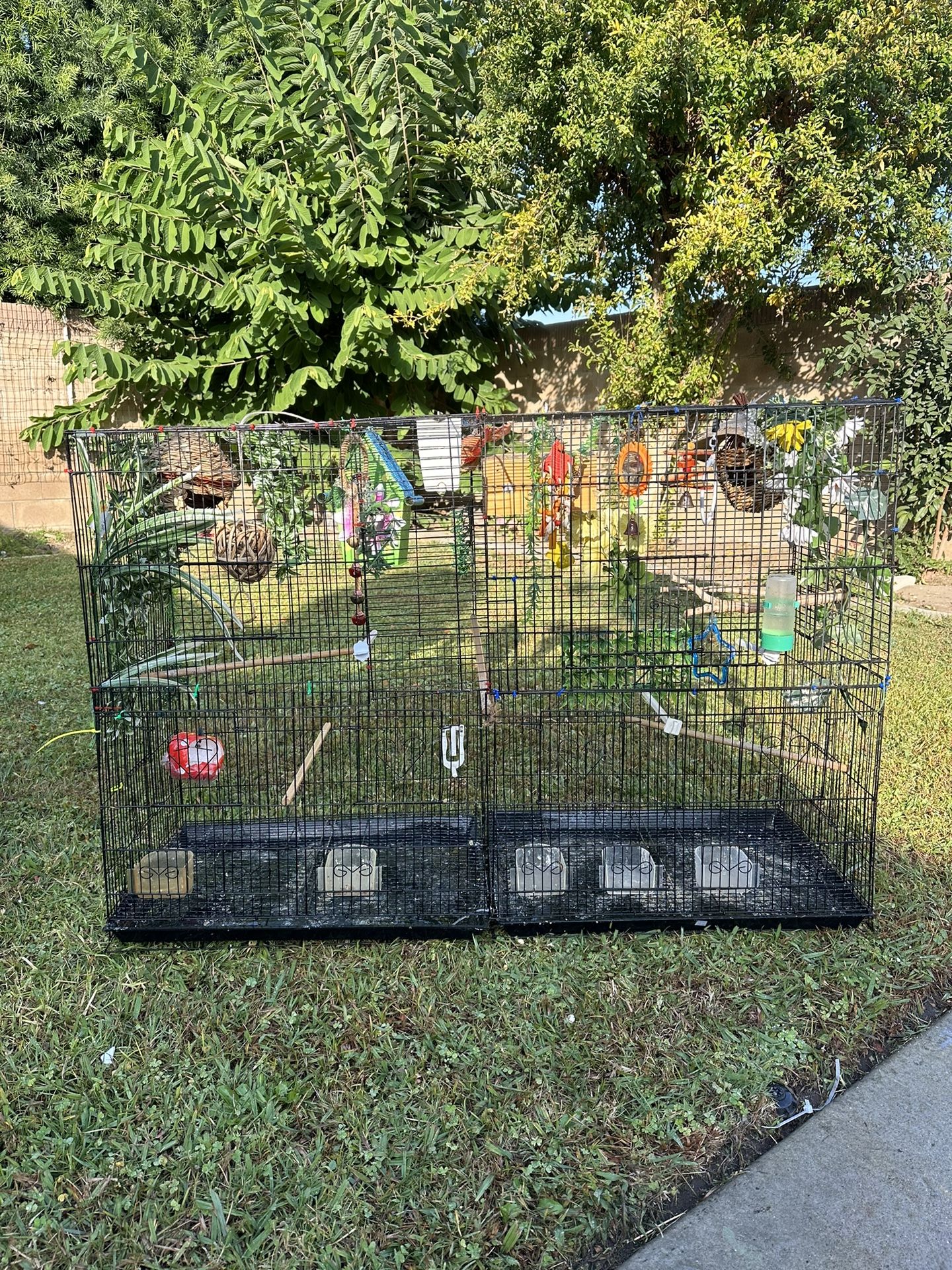 Birds Cage