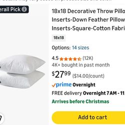 Throw Pillow Inserts