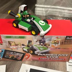 Mario Kart Live Luigi 