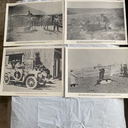 Antique 10” X 13” Photos 