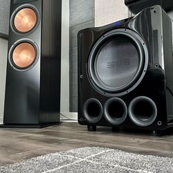 SVS PB16 Ultra (PAIR) – Priced to Move – Someone’s Getting a Deal 🔥