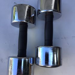 20 lb Dumbbells 