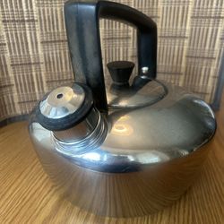 Stainless Steel Tea Kettle