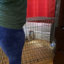 Dog crate