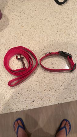 Dog Collar/Leash