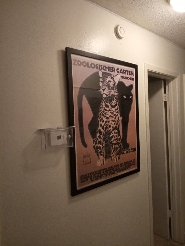 Leopard Poster