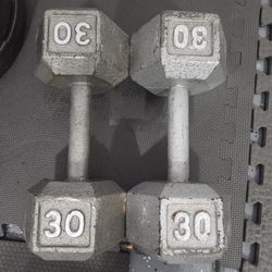 30 Pounds Dumbbells Set Solid Hex Dumbells Set Weight Exercise Workouts Curl 