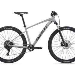 2021 Giant Talon 2,  29” Mountain Bike 