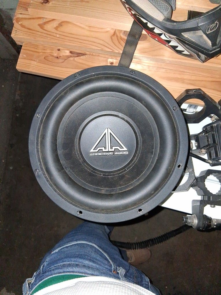 10" Subwoofer 