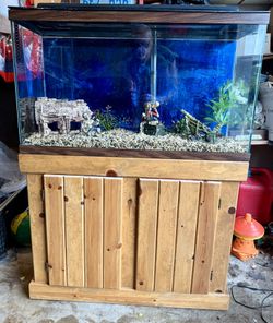 Aquarium 40 Gallon High Tank With Stand and All Accessories