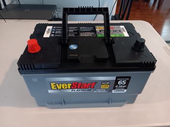EverStart Platinum AGM Car/Truck Group 65 Battery