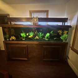 400 Gallon Fish Tank 