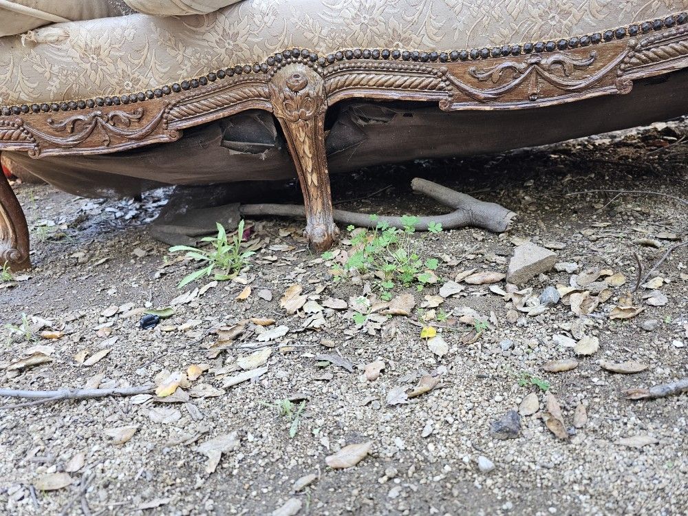 Free Couch to recondition