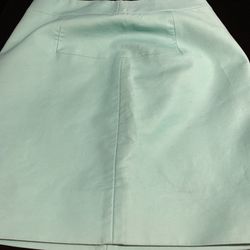 J.Crew Size 4 Sea Foam Green/Blue Skirt