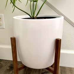 White Planter Pot With Wooden Stand Included