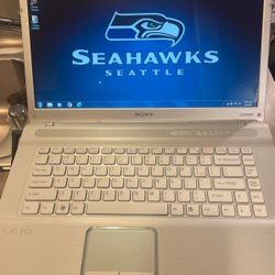 Sony Laptop $150