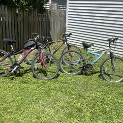 3 Bikes