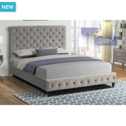 Queen Velvet Grey Bed | New In Box 