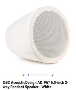 AcousticDesign AD-P6T Pendant Speaker