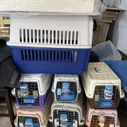 Dog Cage