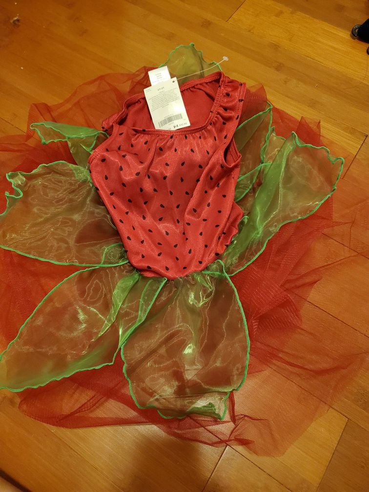 Strawberry ballerina/Halloween costume