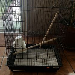 Bird Cage