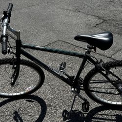 Schwinn Frontier Mountain Bike – Last One, Price Reduced