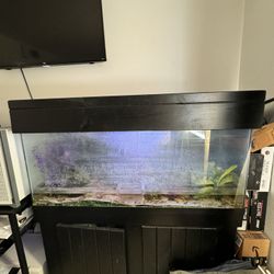 Big Fish Tank With Stand 