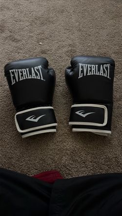 Everlast Boxing Gloves